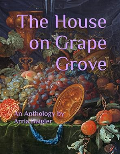 The House on Grape Grove Paperback